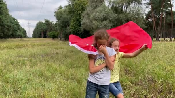 4k Zwillingsmädchen mit großer türkischer Flagge spielen in einem Park. — Stockvideo