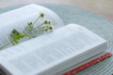 Yeni Ahit, üzerinde beyaz çiçekler olan bir masada Rusça bir kitap açtı. Kutsal İncil