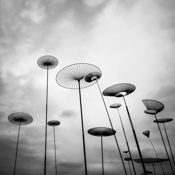Sky mushrooms — Stock Photo, Image