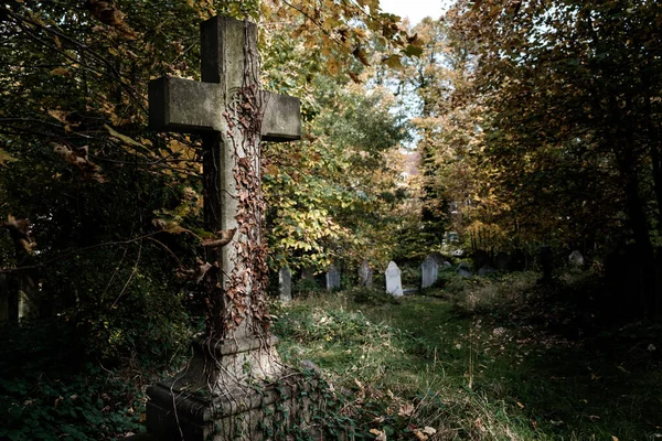 Cemetery Gravestones East London Christian Cross — Foto Stock