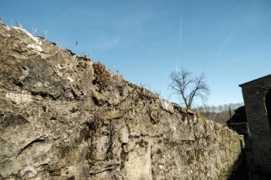 Doğal kaba dokuya, yeşil yosunlara ve üst kenarı boyunca büyüyen seyrek bitkilere sahip antik taş istinat duvarı, hepsi açık mavi gökyüzüne karşı kurulmuş.