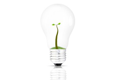 Beyaz arka plan üzerinde izole Ampüller