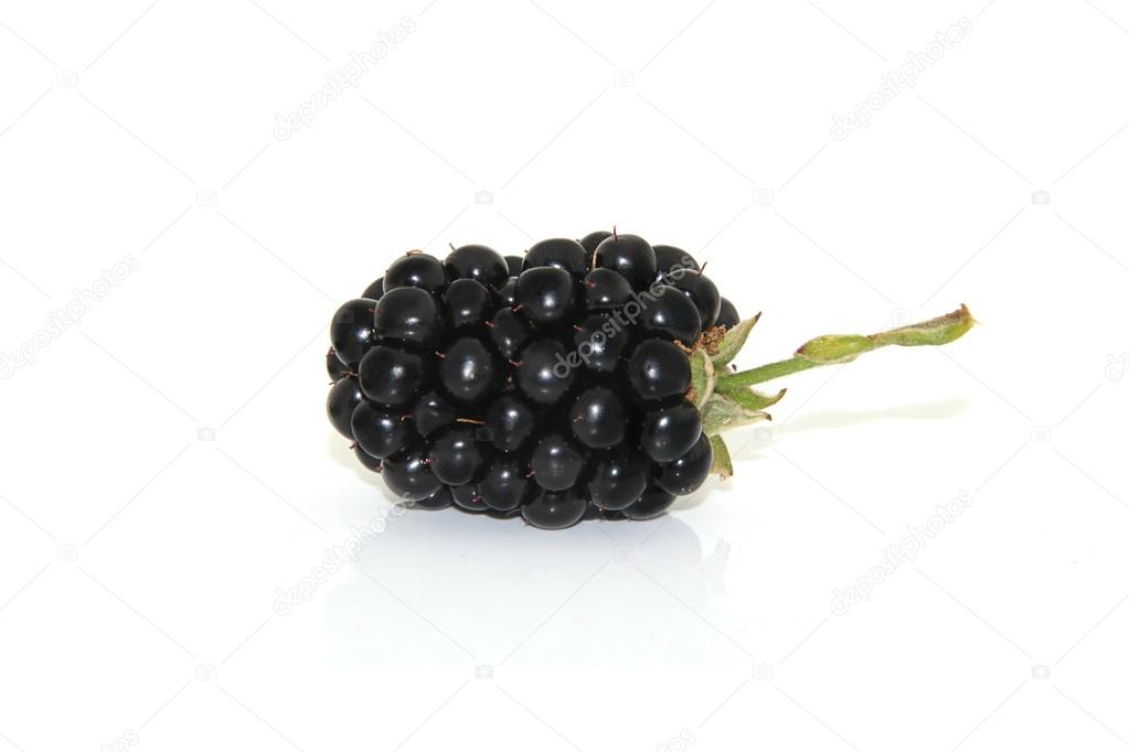 Blackberry on white background