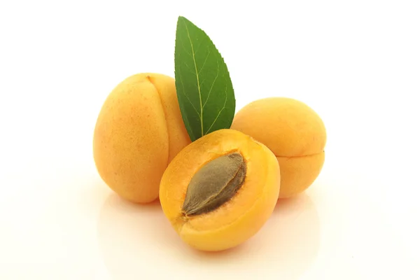 Apricots on white background — Stock Photo, Image