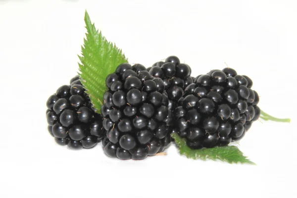 Blackberry — Stok fotoğraf