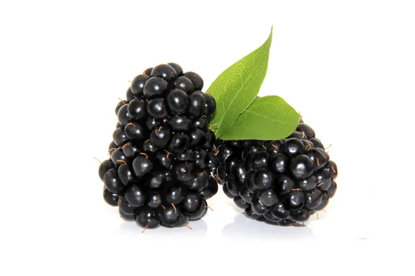 Blackberry — Stok fotoğraf