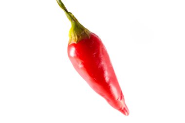 İzole kırmızı sıcak biber