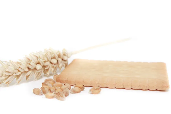 Biscuit on white background — Stock Photo, Image