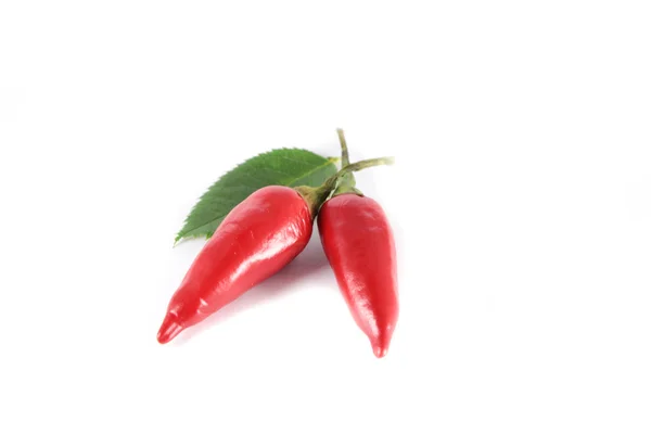 Chiles rojos picantes aislados —  Fotos de Stock