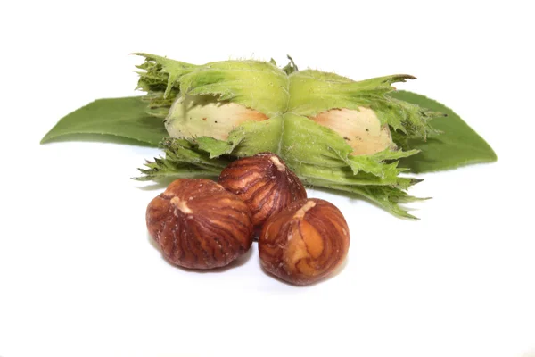 Hazelnut — Stock Photo, Image