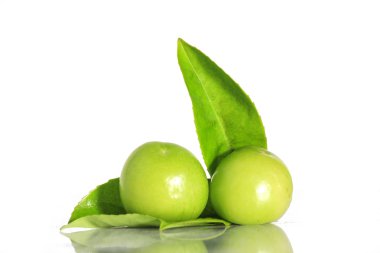 Ome beyaz arka plan üzerinde