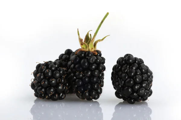 Blackberry фрукты на белом фоне — стоковое фото