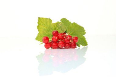 Frenk üzümü meyve