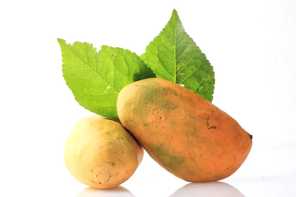 Mango on white Background — Stock Photo, Image