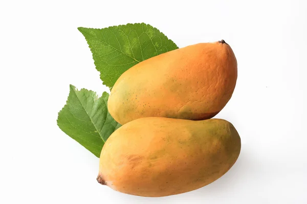 Mango on white Background — Stock Photo, Image