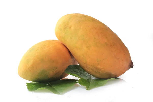 Mango on white Background — Stock Photo, Image