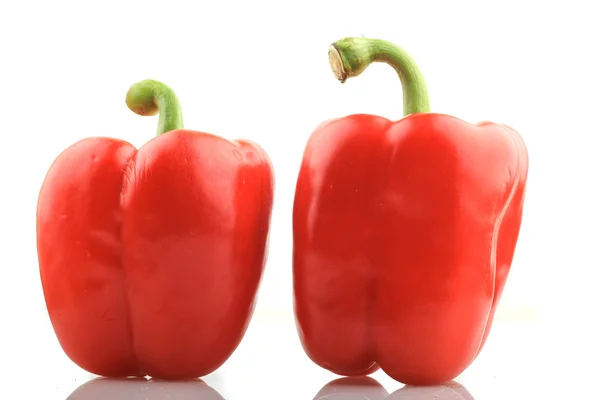 Paprika rossa — Foto Stock