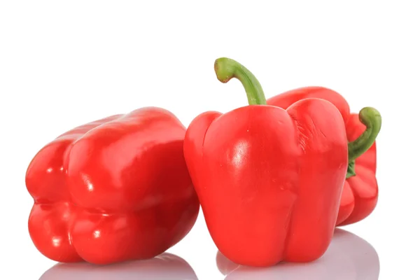 Paprika rossa — Foto Stock