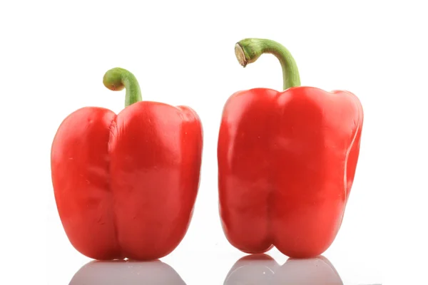 Paprika rossa — Foto Stock