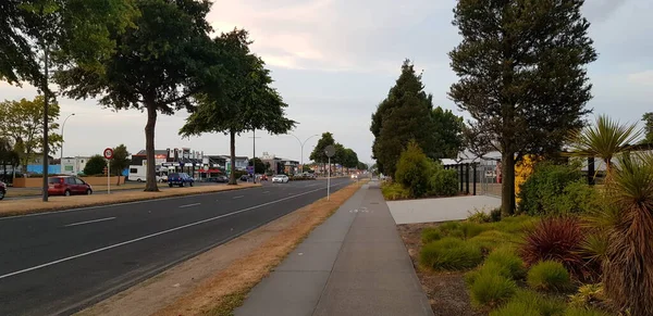 Yol kenarındaki ağaçlara ve dükkanlara bakmak için fotoğraf çektim..