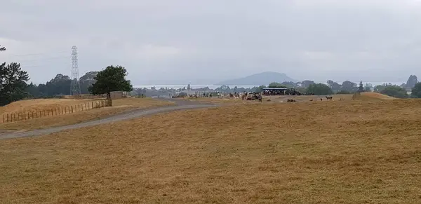 Uzun zaman sonra çiftliğe gittim ve manzarayı filme aldım..