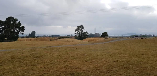 Uzun zaman sonra çiftliğe gittim ve manzarayı filme aldım..