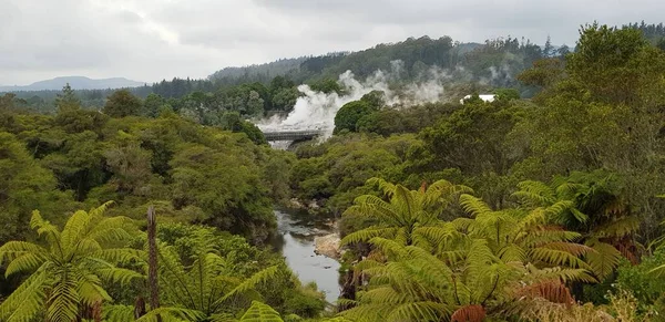 Buharlı doğal bir kaplıcanın resmi..