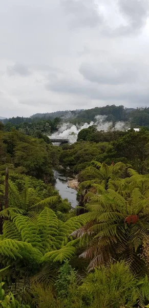 Buharlı doğal bir kaplıcanın resmi..