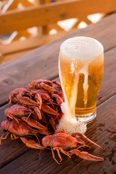 Cerveza y cangrejo cocido — Foto de Stock