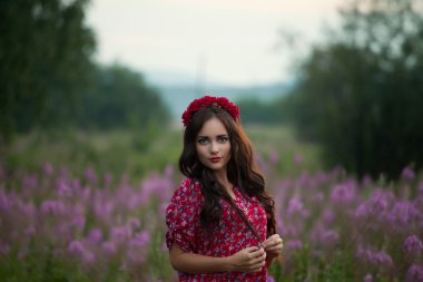 Картина, постер, плакат, фотообои "красивая молодая девушка в поле на фоне цветов
", артикул 117006422