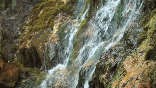 Cachoeira na floresta de outono — Vídeo de Stock