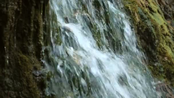 chute d'eau dans la forêt d'automne