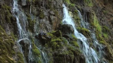 Sonbahar ormanında şelale