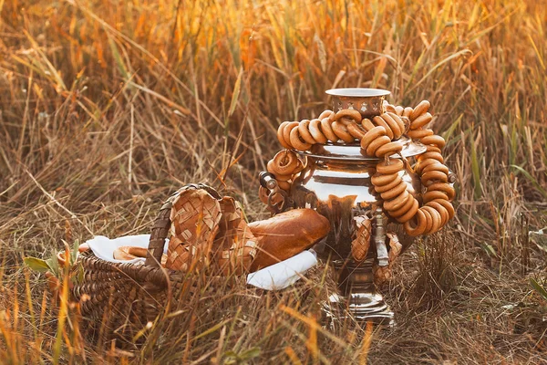 Samovar rustique sur la pelouse fraîche d'été. Espace de copie — Photo