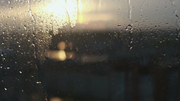 La lluvia vierte por la ventana — Vídeos de Stock