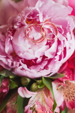 Alyanslar ve güller.