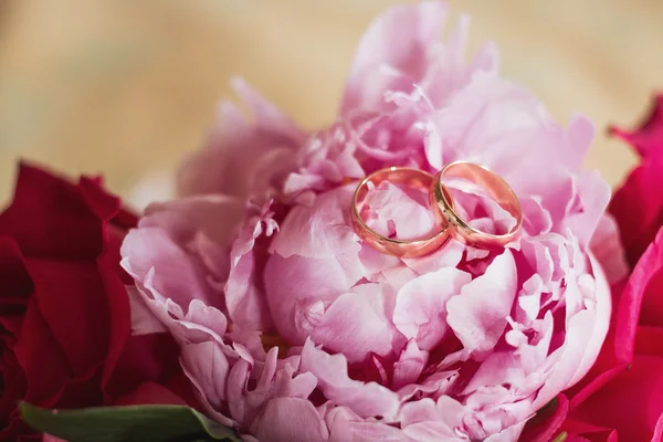 Inele de nunta si trandafiri buchet — Fotografie, imagine de stoc