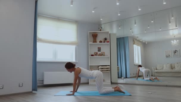 Mujer joven practicando yoga en estudio — Vídeos de Stock