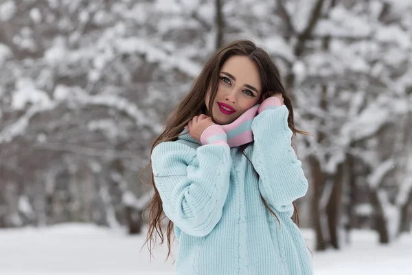 Jovem Mulher Atraente Inverno Livre — Fotografia de Stock