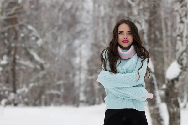 Jovem Mulher Atraente Inverno Livre — Fotografia de Stock