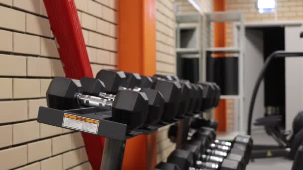 Mujer deportiva calentando y entrenando en el gimnasio — Vídeos de Stock