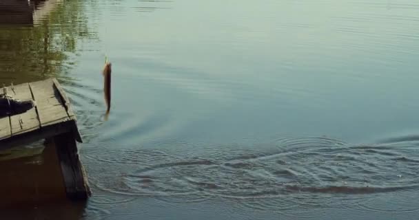Ember halászat fa mólón tó közelében — Stock videók