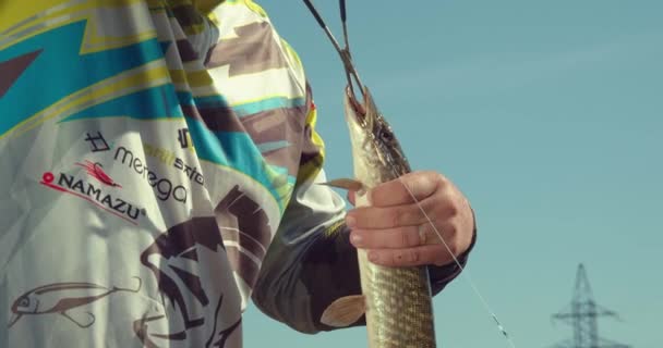 Человек рыбачит на деревянном пирсе у озера — стоковое видео