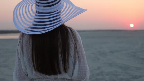 Mulher elegante com copo de vinho descansando na praia ao pôr do sol — Vídeo de Stock