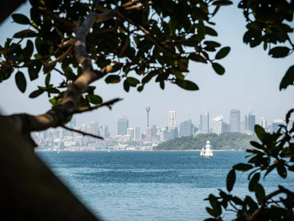 Sydney ορίζοντα πυροβόλησε μέσα από κλαδιά δέντρων, Shot στο Σίδνεϊ, Νέα Νότια Ουαλία, Αυστραλία — Φωτογραφία Αρχείου