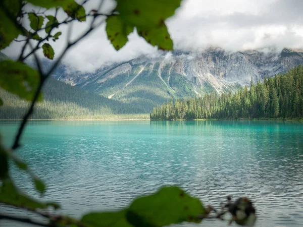 Vista sul lago di montagna incontaminato attraverso il fogliame, girato a Emerald Lake, Yoho National Park, Columbia Britannica, Canada — Foto Stock