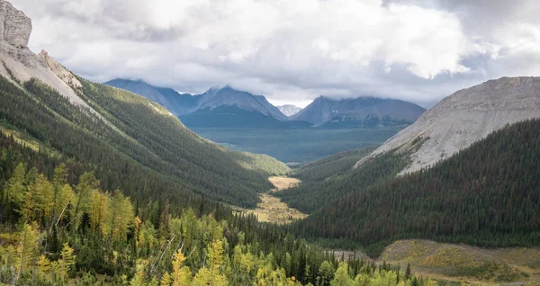 Vista sobre el valle alpino con bosque y montañas, filmado en el sendero del Monte Smutwood en Kananaskis, Alberta, Canadá —  Fotos de Stock