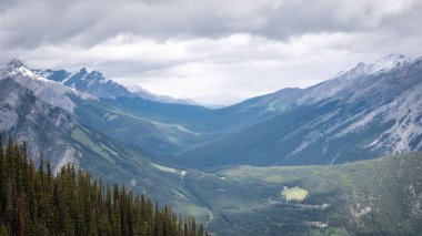 Kanada kayalıklarında güzel bir dağ vadisi, Sülfür Dağı Gözcüsü, Banff Ulusal Parkı, Alberta, Kanada