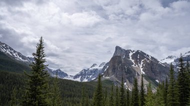 Önünde karlı tepeleri ve ormanı olan güzel bir dağ vadisi, Moraine Gölü yolunda bulutlu bir günde çekildi, Banff Ulusal Parkı, Alberta, Kanada