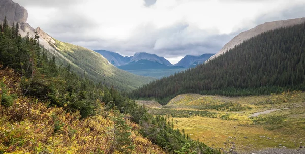 Blick auf buntes Alpental mit Wald und Bergen im Herbst, aufgenommen auf dem Mount Smutwood Trail in Kananaskis, Alberta, Kanada — Stockfoto